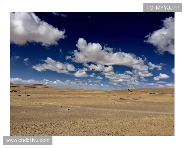 全面解析开云网页版操作流程，从注册登录到日常使用全方位教程