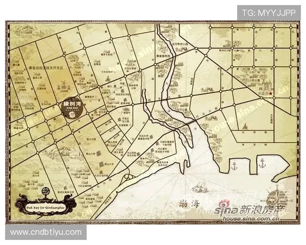 环球体育全面解析：最新赛事资讯与运动员动态全方位报道