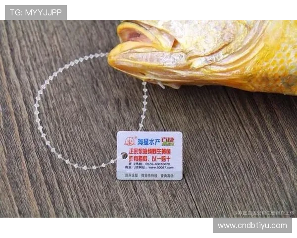 海星体育旗舰厅下载官网最新版本下载流程详解,确保用户顺利体验体育娱乐